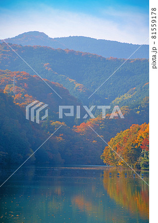 荒川 玉淀ダム湖 秋の風景 紅葉の季節 荒川 玉淀ダム湖 秋の風景 紅葉の季節 81559178