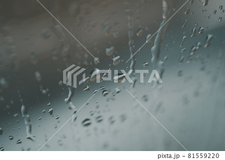 rain rain 81559220