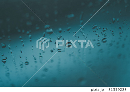 rain rain 81559223