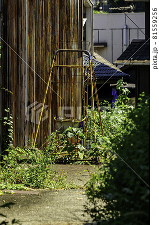 鞆の浦　鞆の浦の町並み　広島県福山市 81559256