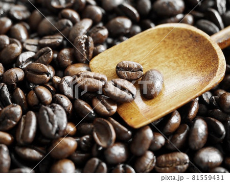 コーヒー コーヒー 81559431