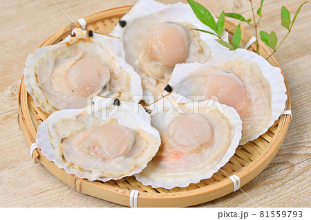 未加熱の殻付きホタテ、ほたて、帆立貝、海鮮、ホタテガイ、浜焼きイメージ。 未加熱の殻付きホタテ、ほたて、帆立貝、海鮮、ホタテガイ、浜焼きイメージ。 81559793