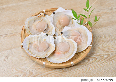 未加熱の殻付きホタテ、ほたて、帆立貝、海鮮、ホタテガイ、浜焼きイメージ。 未加熱の殻付きホタテ、ほたて、帆立貝、海鮮、ホタテガイ、浜焼きイメージ。 81559799