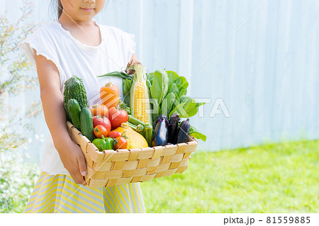 子供 野菜 宅配 横位置 子供 野菜 宅配 横位置 81559885