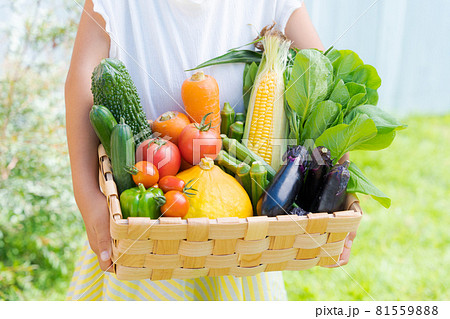 子供 野菜 宅配 横位置 子供 野菜 宅配 横位置 81559888