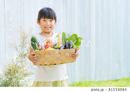 子供 野菜 笑顔 詰め合わせ 子供 野菜 笑顔 詰め合わせ 81559984