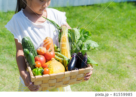 子供　野菜　詰め合わせ 81559985