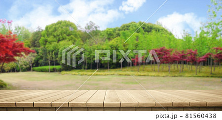 公園 パーク 園 81560438