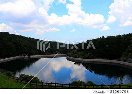 一本松公園 昭和の森 福岡県 宇美町 空 青空 一本松公園 昭和の森 福岡県 宇美町 空 青空 81560798