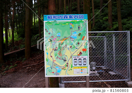 一本松公園　昭和の森　福岡県　宇美町 81560803