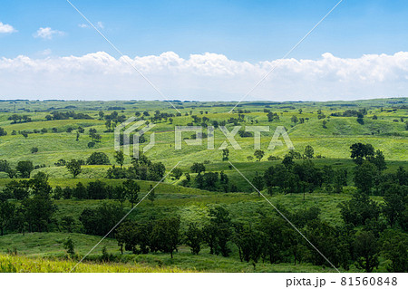 押戸石の丘　熊本県阿蘇郡南小国町 81560848