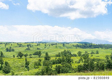 押戸石の丘 熊本県阿蘇郡南小国町 押戸石の丘 熊本県阿蘇郡南小国町 81560849