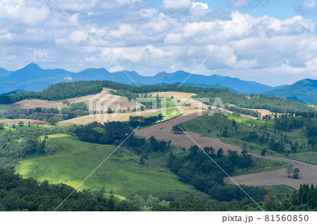押戸石の丘　熊本県阿蘇郡南小国町 81560850