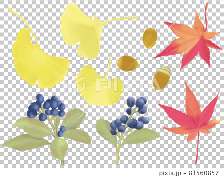 秋の植物のイラストセットのイラスト素材