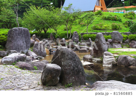 一本松公園 昭和の森 福岡県 宇美町 一本松公園 昭和の森 福岡県 宇美町 81560885