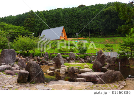 一本松公園 昭和の森 福岡県 宇美町 一本松公園 昭和の森 福岡県 宇美町 81560886