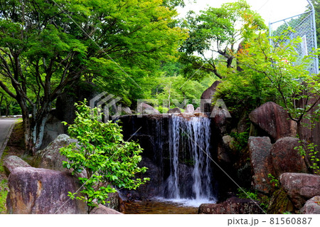 一本松公園　昭和の森　福岡県　宇美町 81560887
