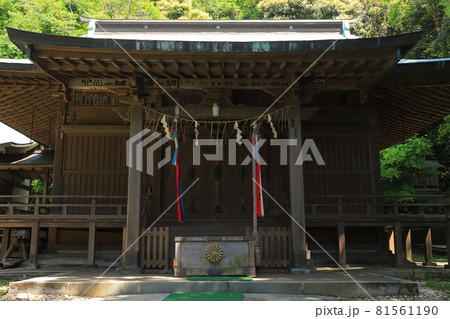 房総半島の洲崎神社 81561190