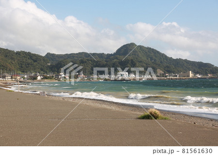 保田海岸を歩いた 保田海岸を歩いた 81561630