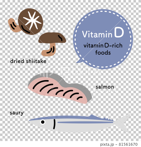 ビタミンdを多く含む食品 イラストセット 英語ver のイラスト素材