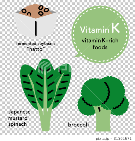 ビタミンkを多く含む食品 イラストセット 英語ver のイラスト素材