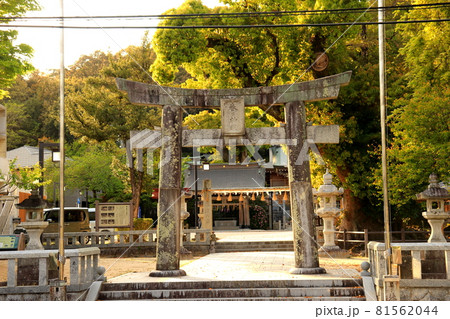 春日神社　福岡県　春日市　神社　 81562044