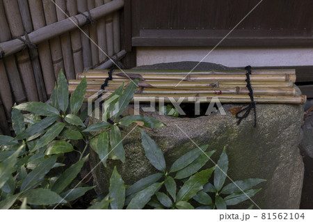 茶室の手水鉢とアオキ 茶室の手水鉢とアオキ 81562104