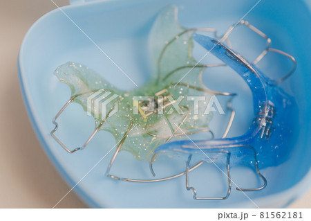 子供の矯正装置 81562181