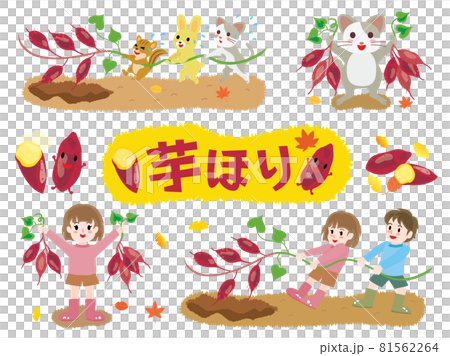 土豆挖掘設置圖 81562264