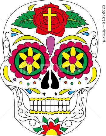 鮮やかなメキシカンスカルのイラスト素材 [81563025] - PIXTA