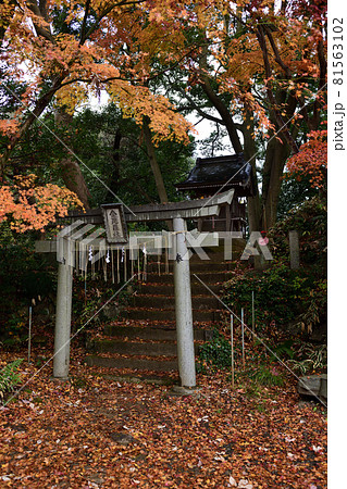 高尾山 登山道 紅葉の金毘羅社 81563102