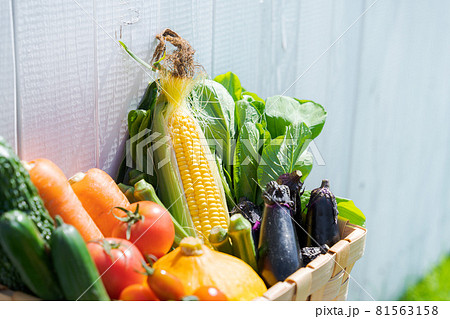 野菜　盛り合わせ　夏 81563158