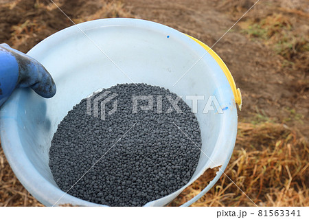 野菜畑の土中堆肥作り 81563341