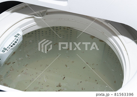 かなり汚れた洗濯槽の洗浄中イメージ 81563396