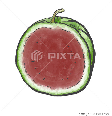 半割スイカの和風手描きイラスト 半割スイカの和風手描きイラスト 81563759