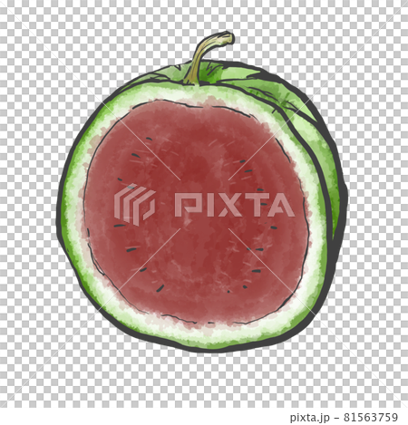半割スイカの和風手描きイラスト 半割スイカの和風手描きイラスト 81563759