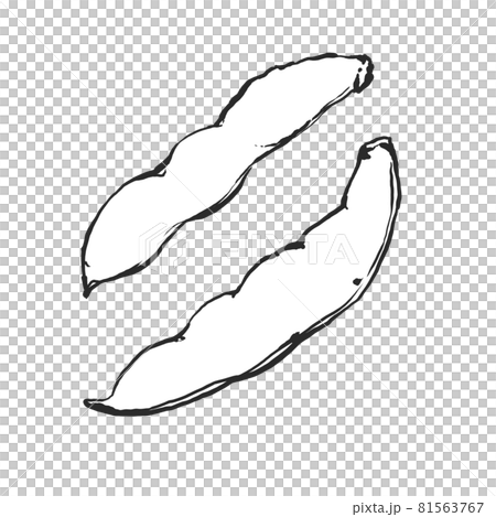 蠶豆的日式手繪線描插圖 81563767