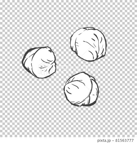 芽キャベツの和風手描き線画イラスト 81563777