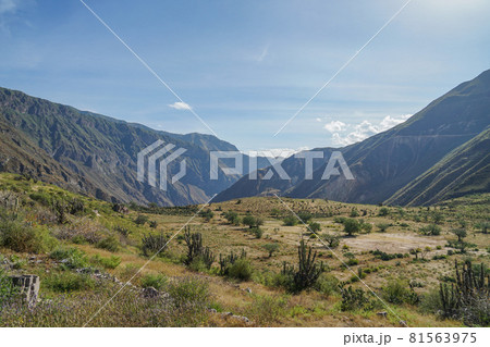 カニョンデルコルカ カニョンデルコルカ 81563975
