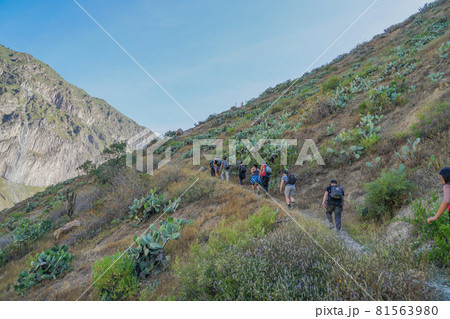 カニョンデルコルカ 81563980