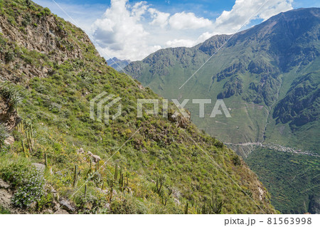 カニョンデルコルカ 81563998