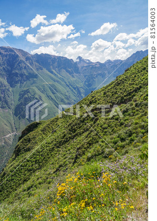 カニョンデルコルカ 81564003