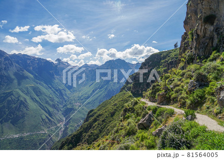 カニョンデルコルカ カニョンデルコルカ 81564005