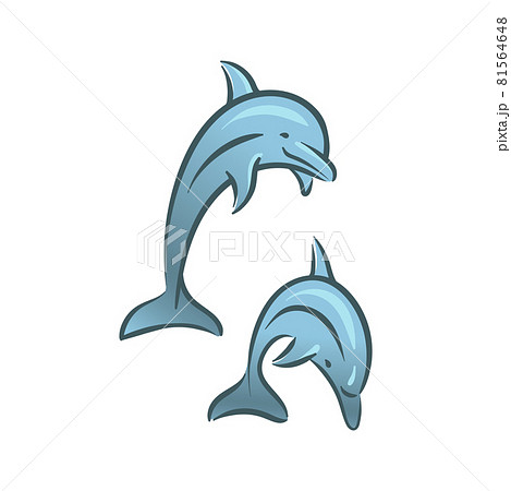 Ocean dolphins mammal animal swim underwater illustration Ocean dolphins mammal animal swim underwater illustration 81564648
