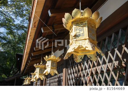 京都　下鴨神社内　金色の吊し燈籠 81564669