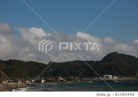 保田海岸を歩いた 保田海岸を歩いた 81565448