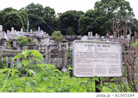 中国式墳墓　東海の墓 81565584