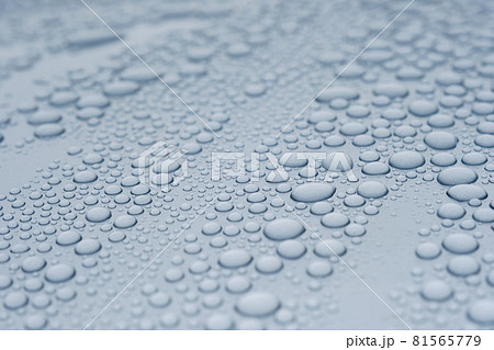 車の塗装にはじかれた水滴　ワックス　雨 81565779