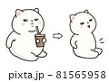 白猫のダイエット。ビフォアアフター。 81565958