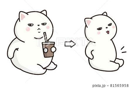 白猫のダイエット ビフォアアフター のイラスト素材